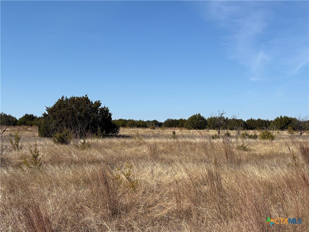 Monarch Lane/Shin Oak lot: 36