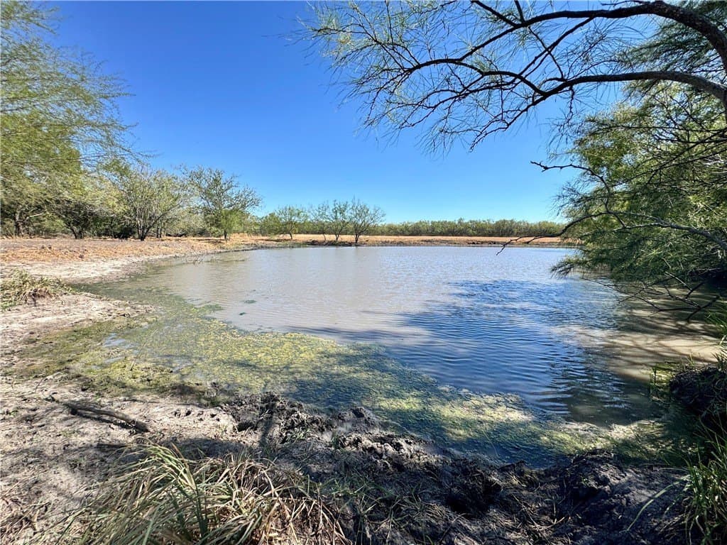 County Road 215- 20 acres