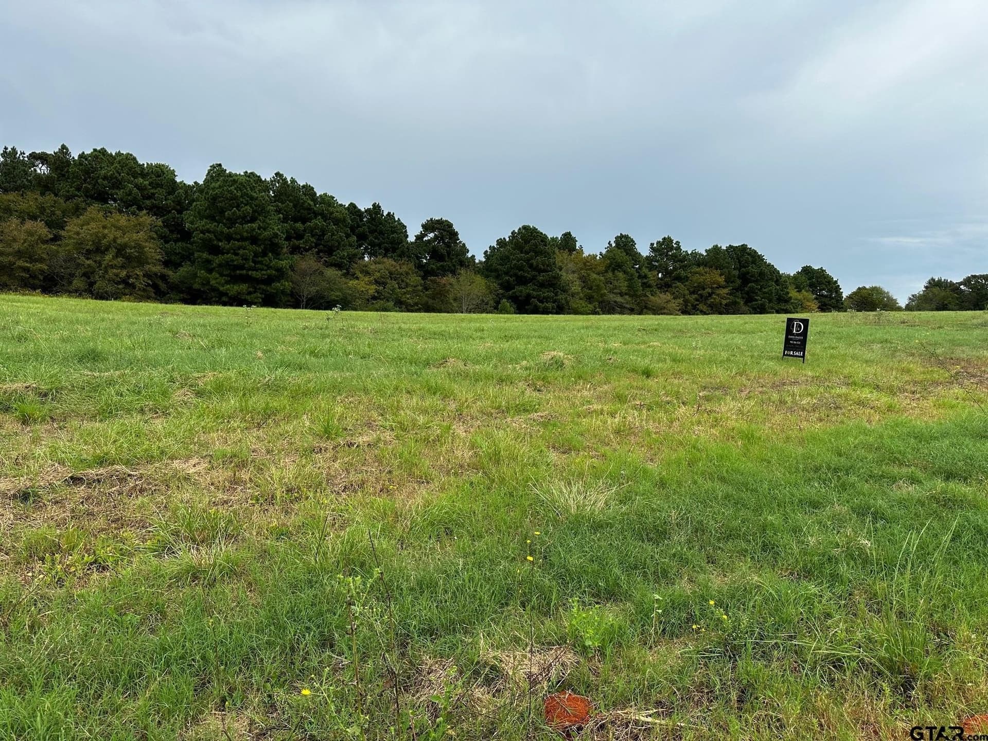 16724 CAELI HEIGHTS COURT (LOT 13)