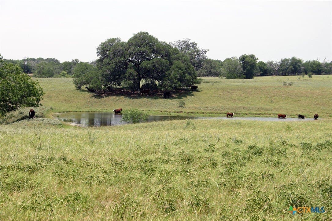 Old Mcmahan Road