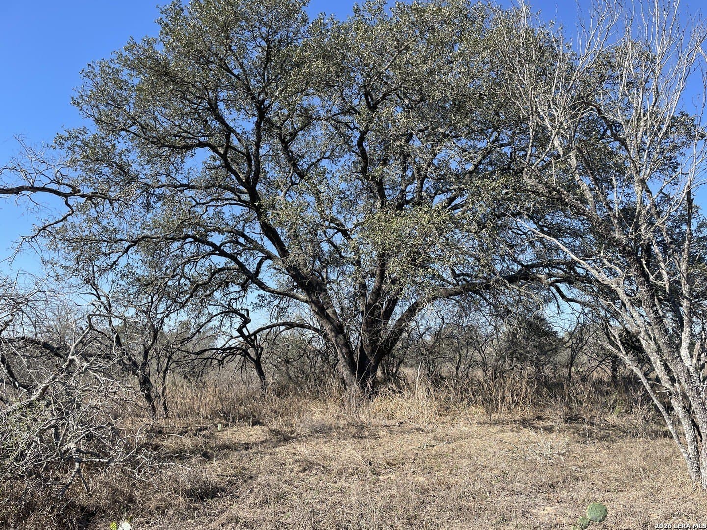 TRACT#8 12.31A County Road 777