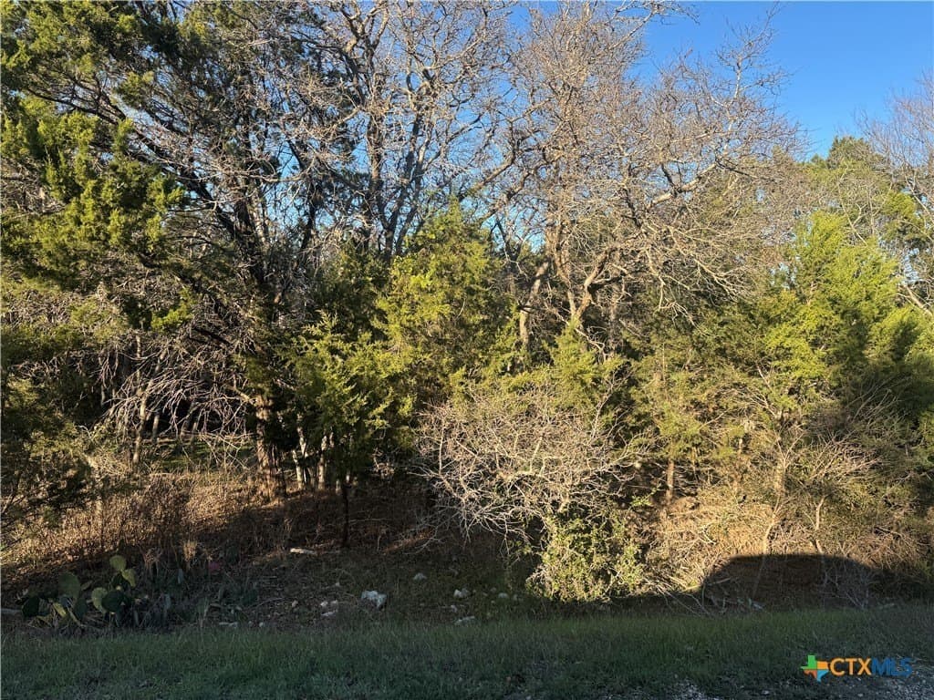 14897 Cart Road lot: 6