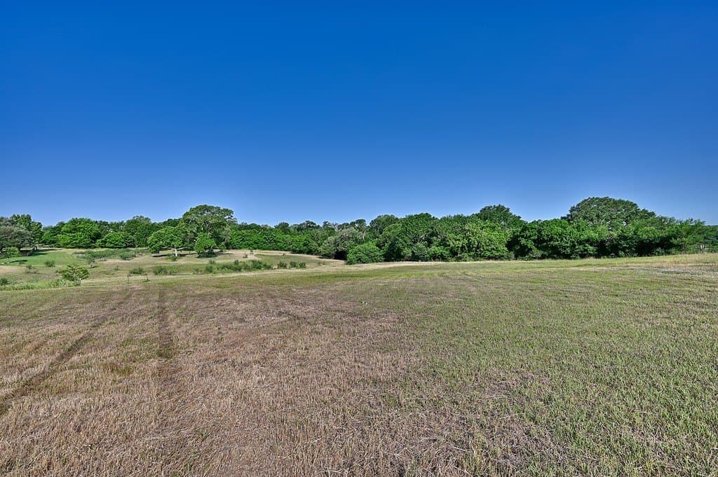 2917 Twisted Oak Drive