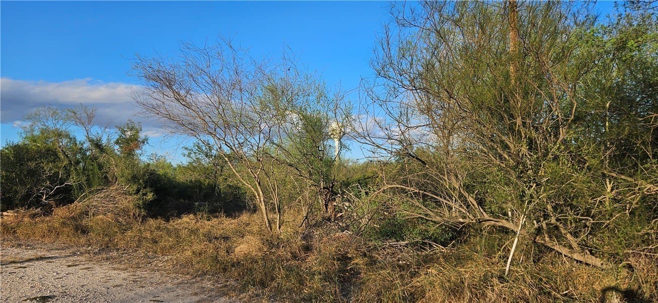 N 1st Street lot: 11