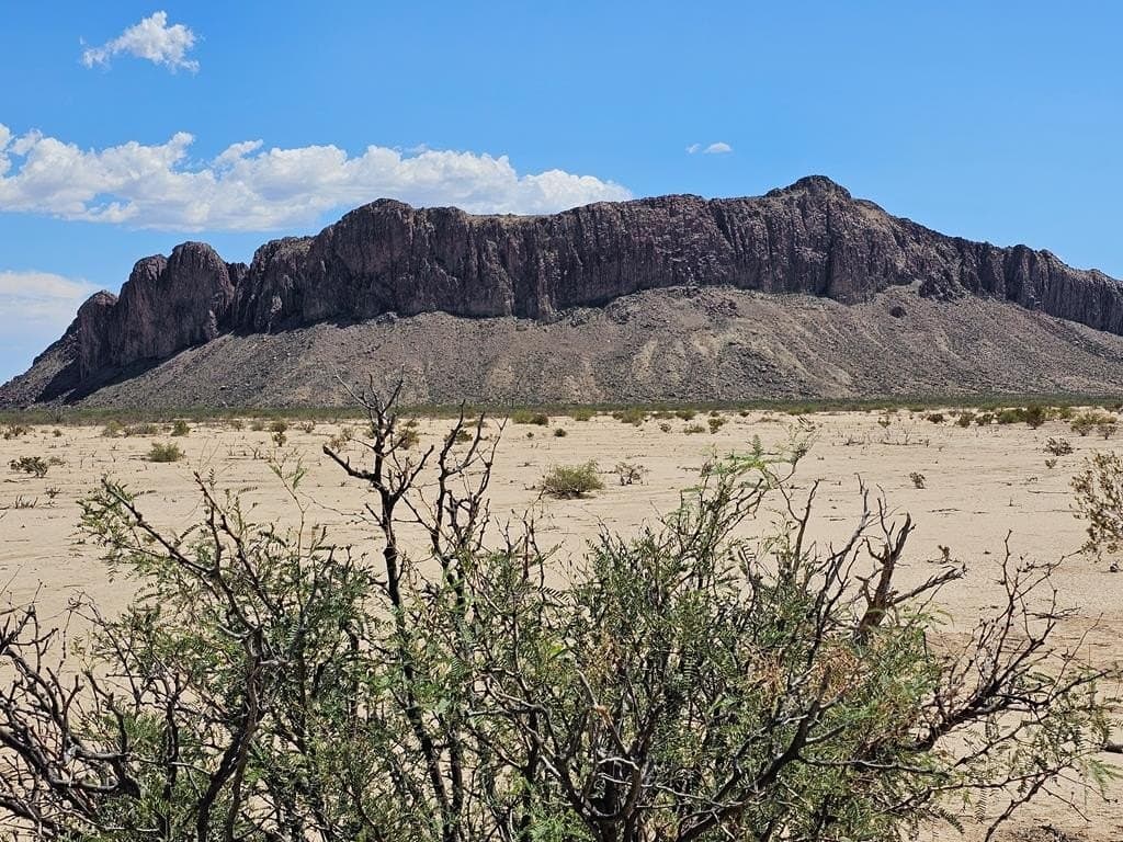 G160 Spock Rd.