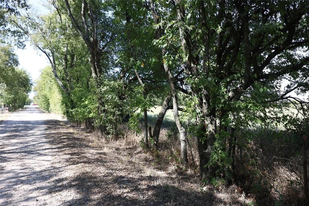 Lot 2 Tbd County Road 2005