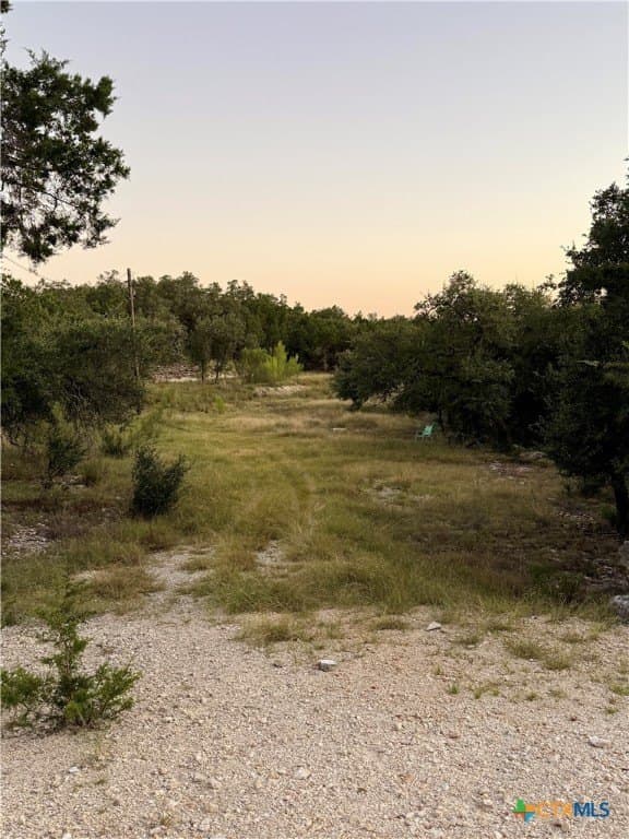 1043 Summit Bluff lot: 54