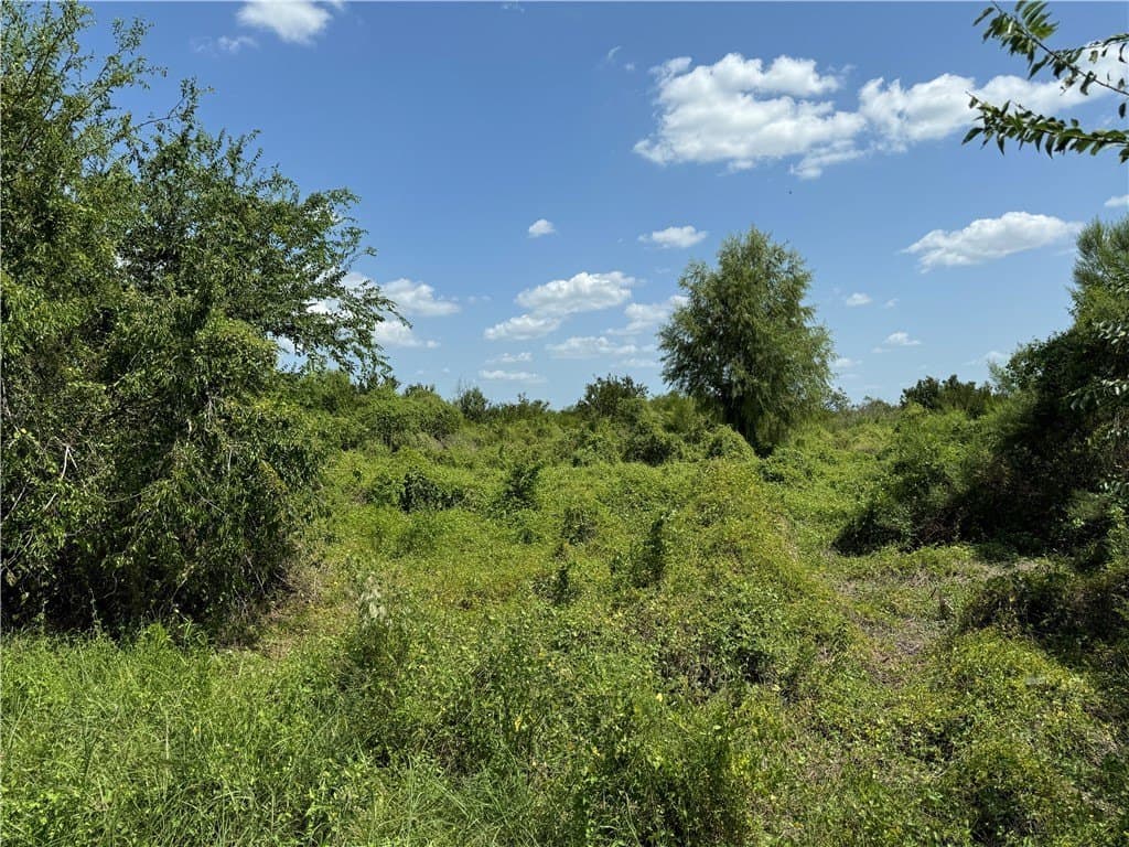 Deer Run Trace lot: 55