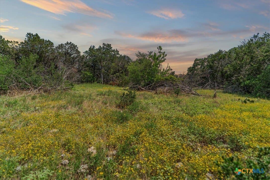 1001 Bluff View Road lot: 432
