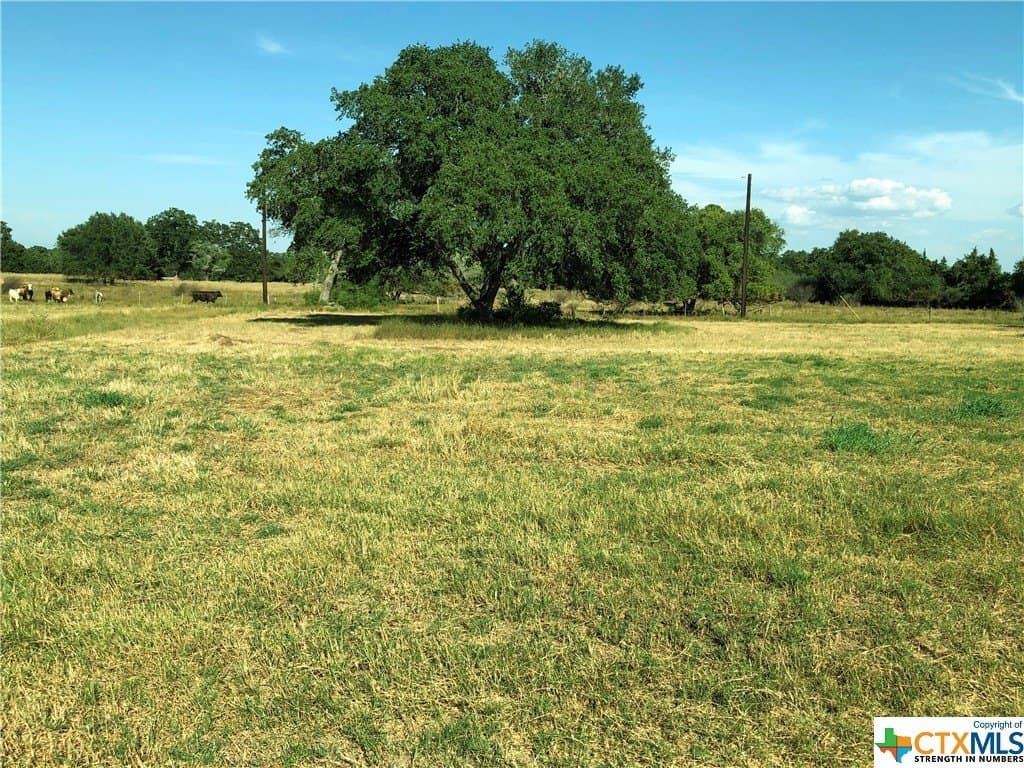 PVT 1672 lot: 7