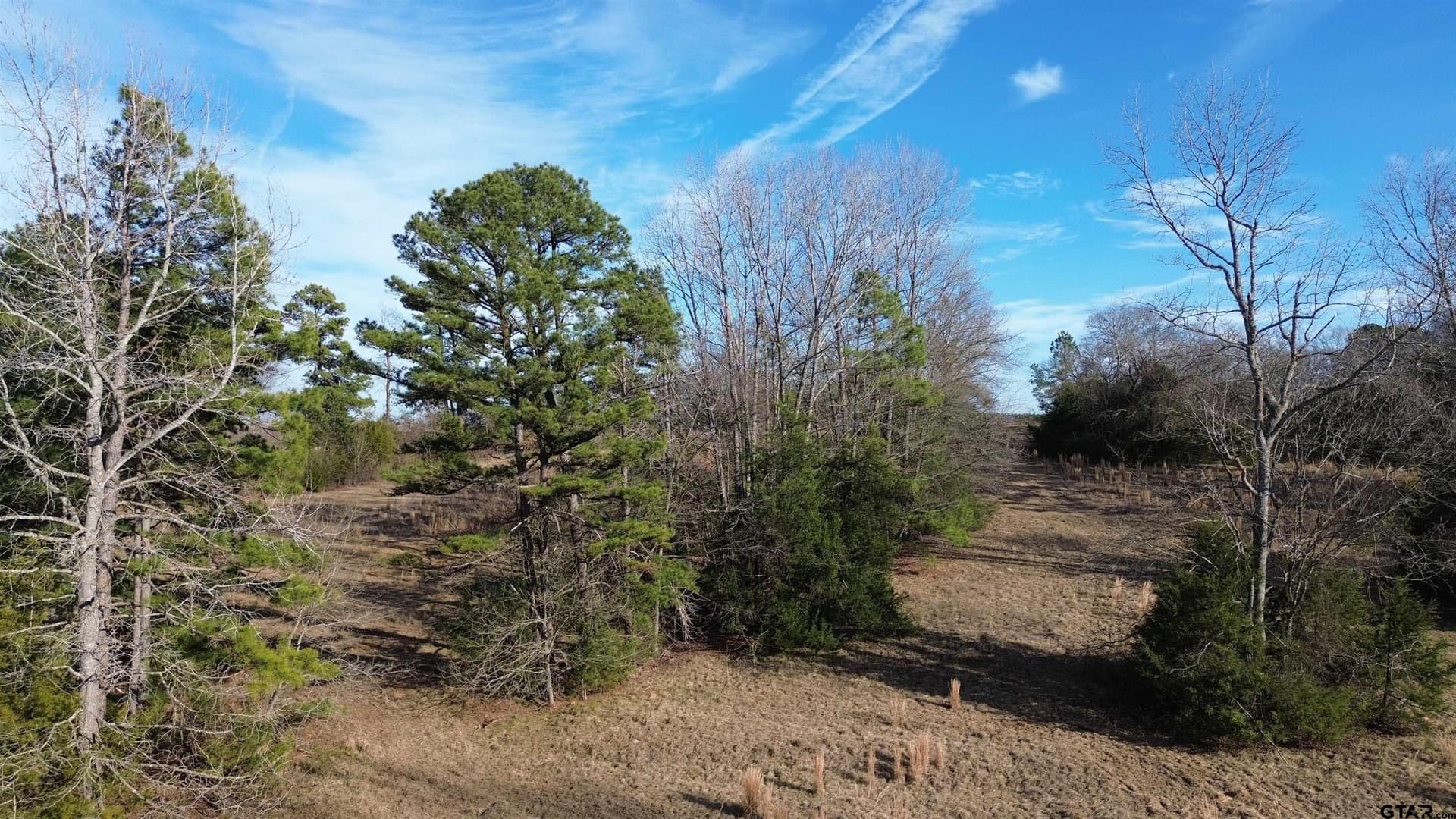 562 County Road 4430
