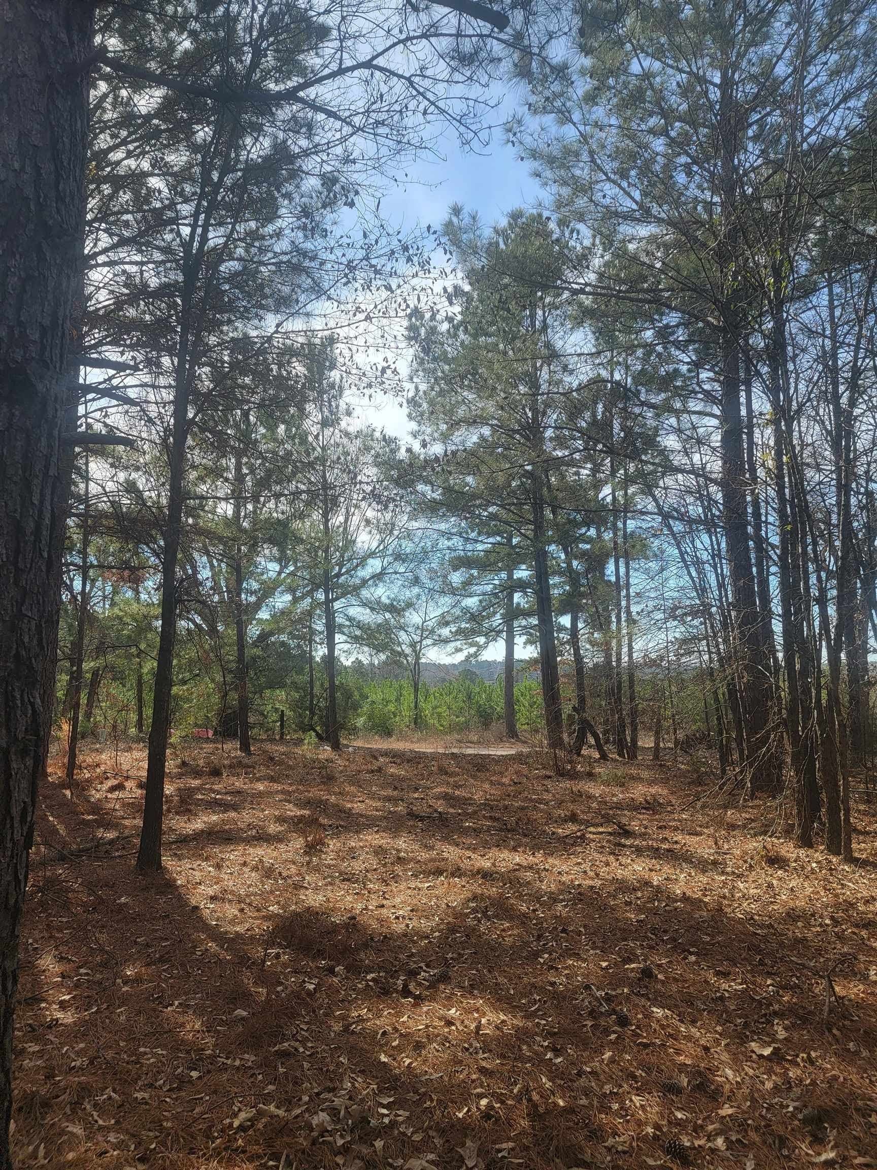 Tbd Brandy Dr