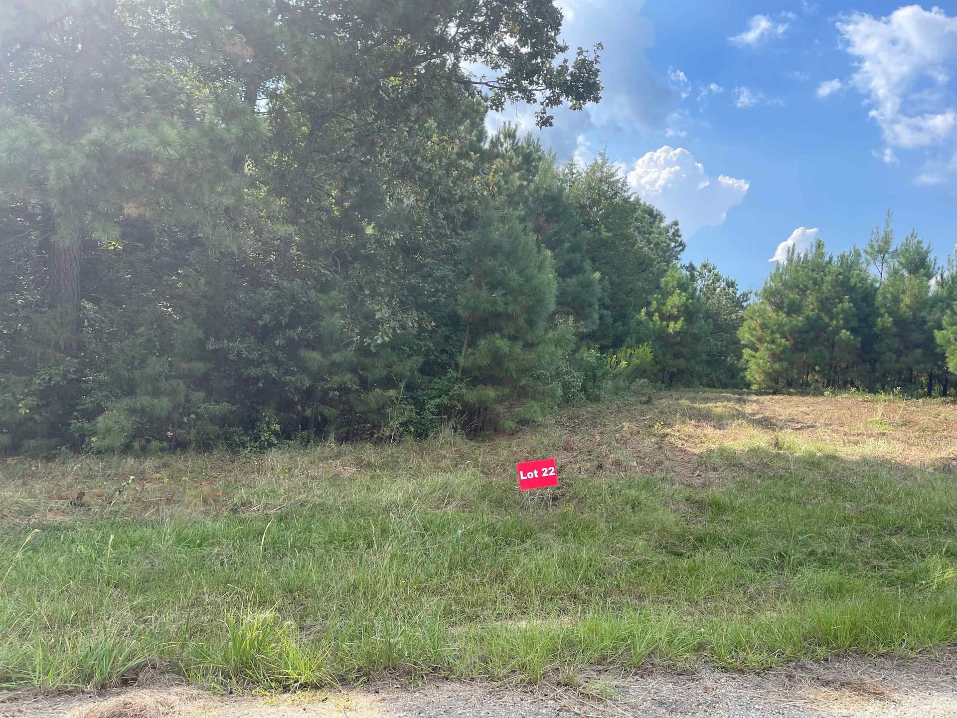 Tbd Lot 22 CR 2204 D & FM 1797