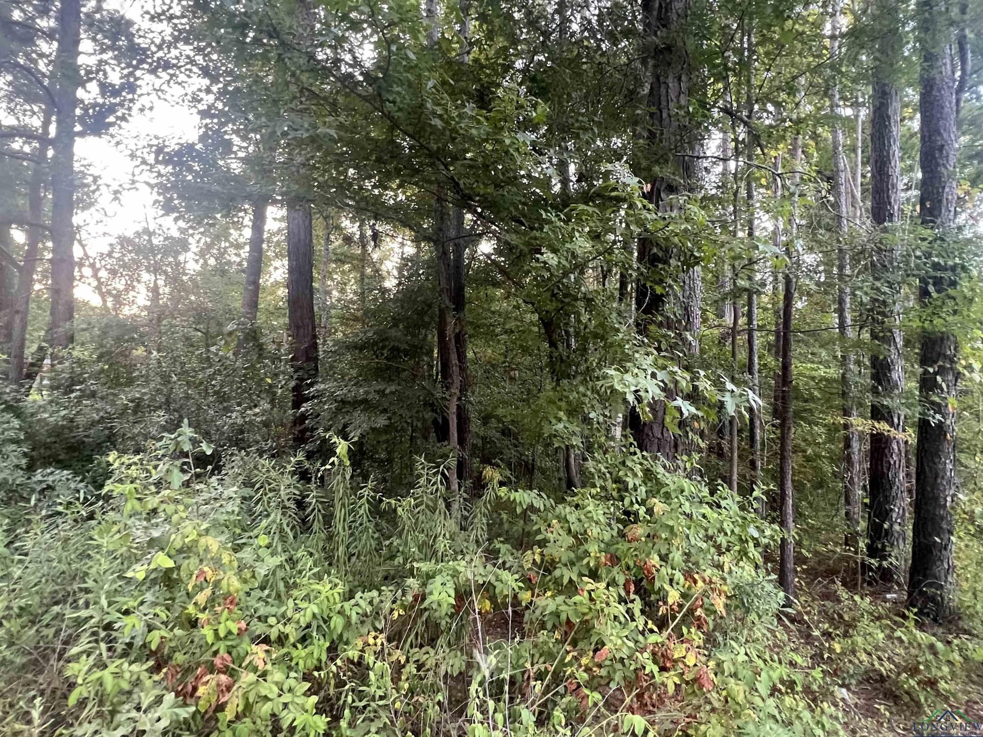 Tbd Cedarwood Trail