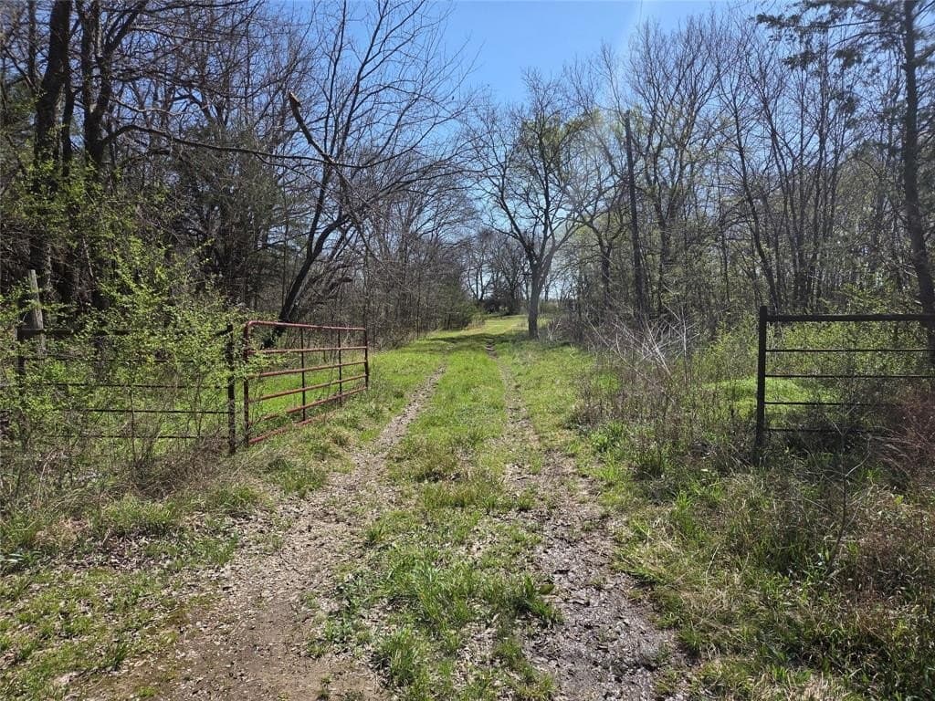 294 County Road 2809