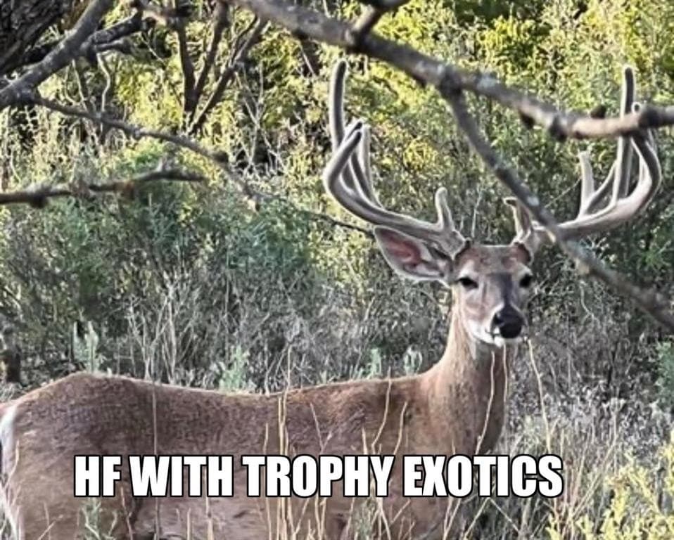 8500 County Road 121
