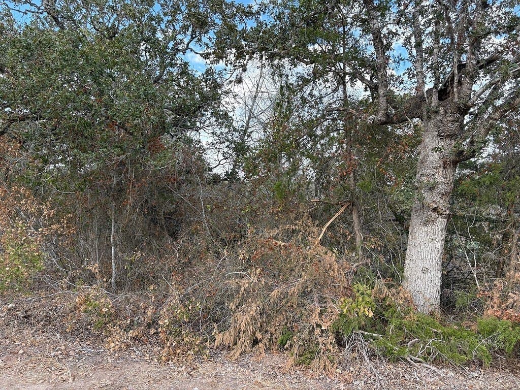 000 Deer Loop