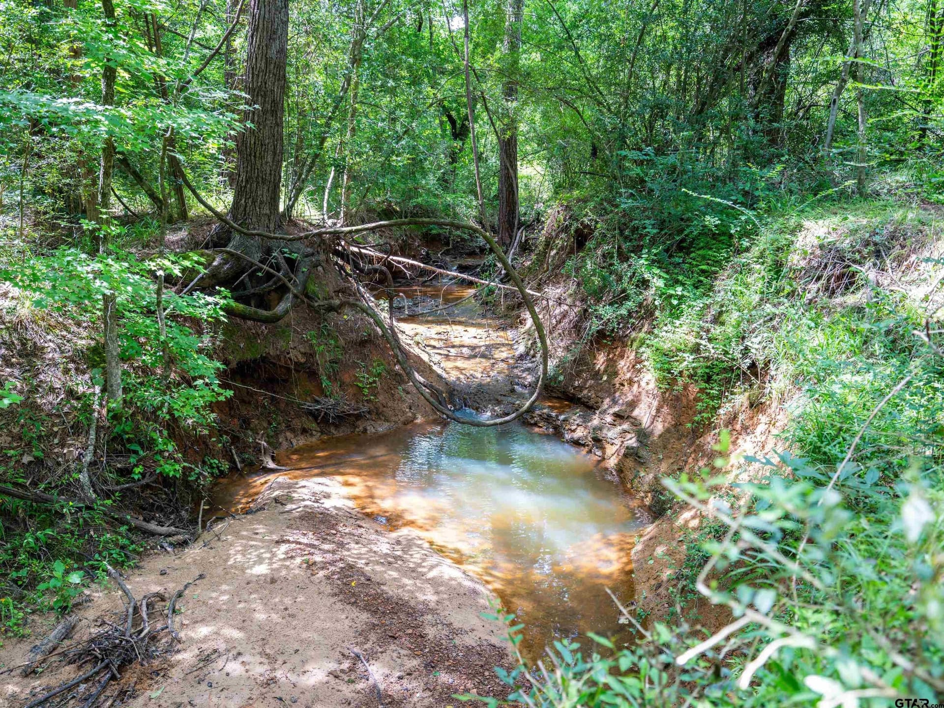 12288 County Road 1141