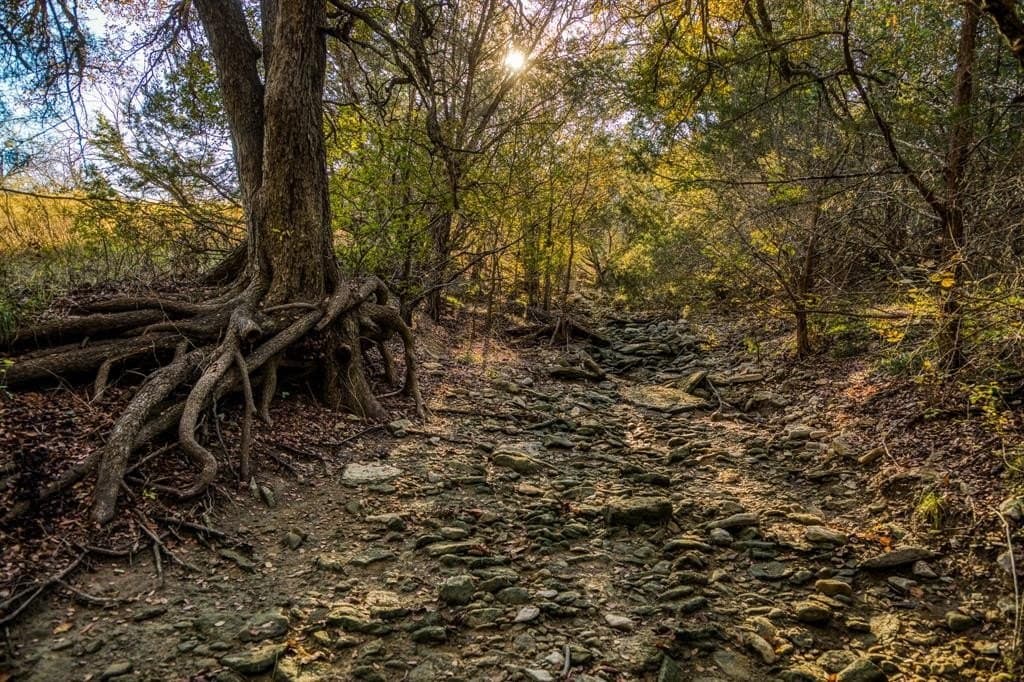 Tbd Shady Oaks