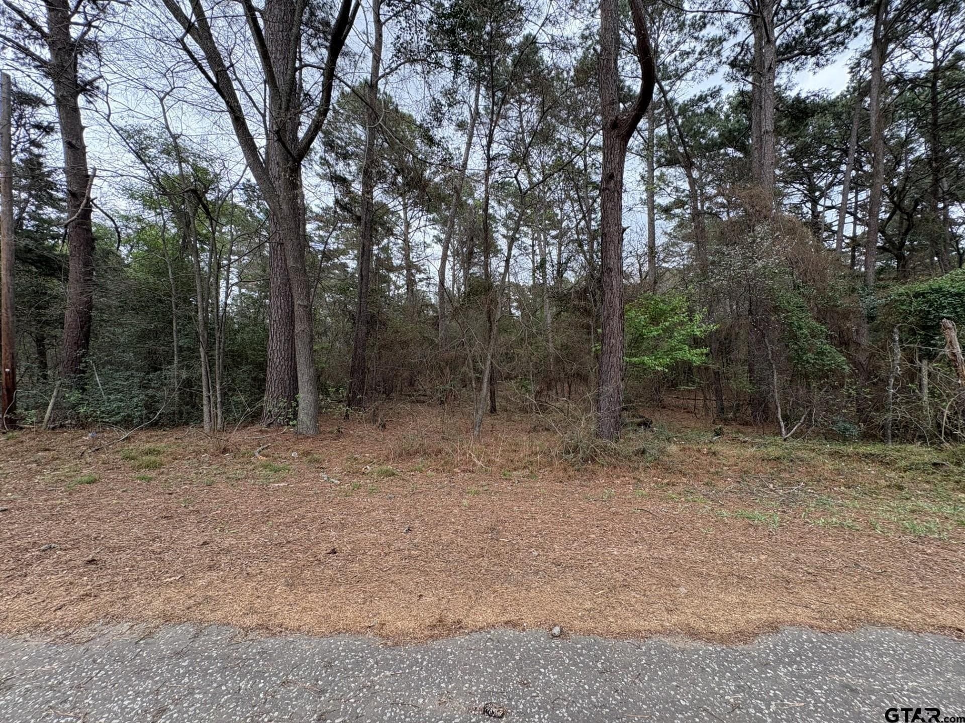 142 Timber Bluff Rd