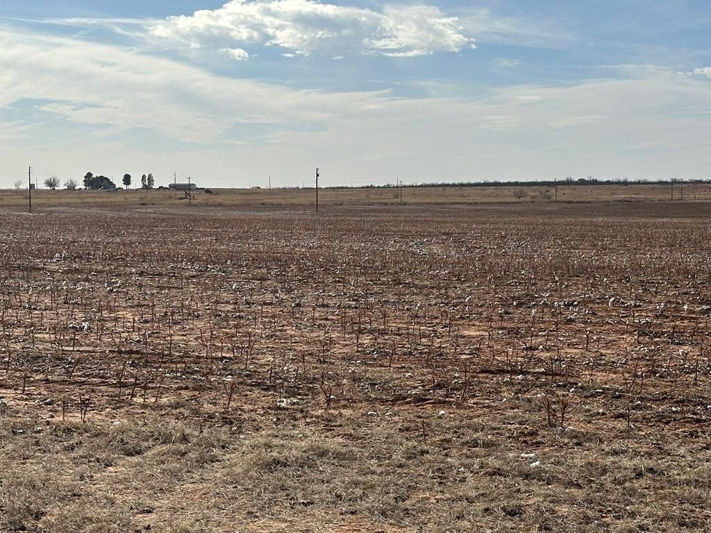 County Rd 216