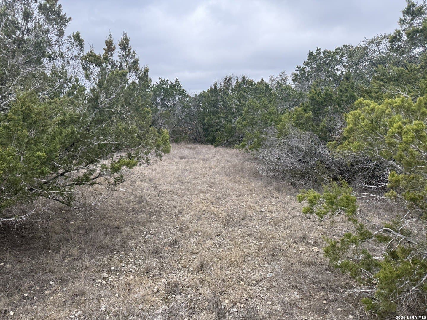 S Cliff lot: 71