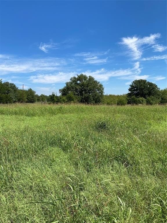 Lot 17 County Road 1126