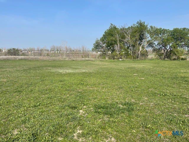 Paso Fino Street lot: 4