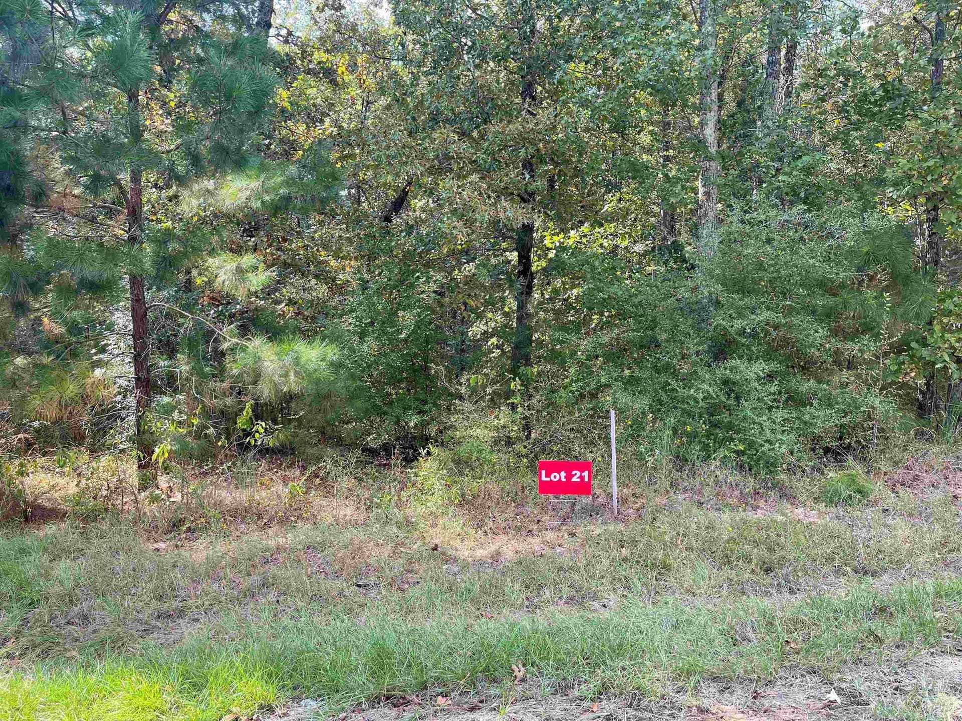 Tbd Lot 21 CR 2204 D & FM 1797