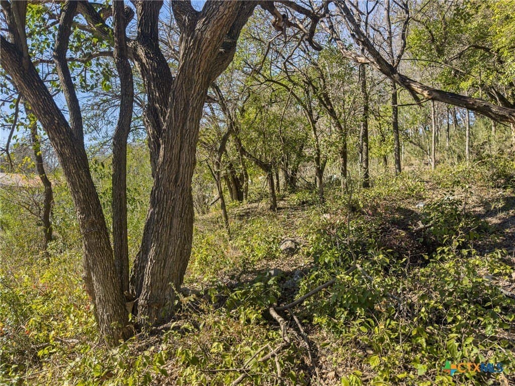 595 Dittlinger Street lot: E