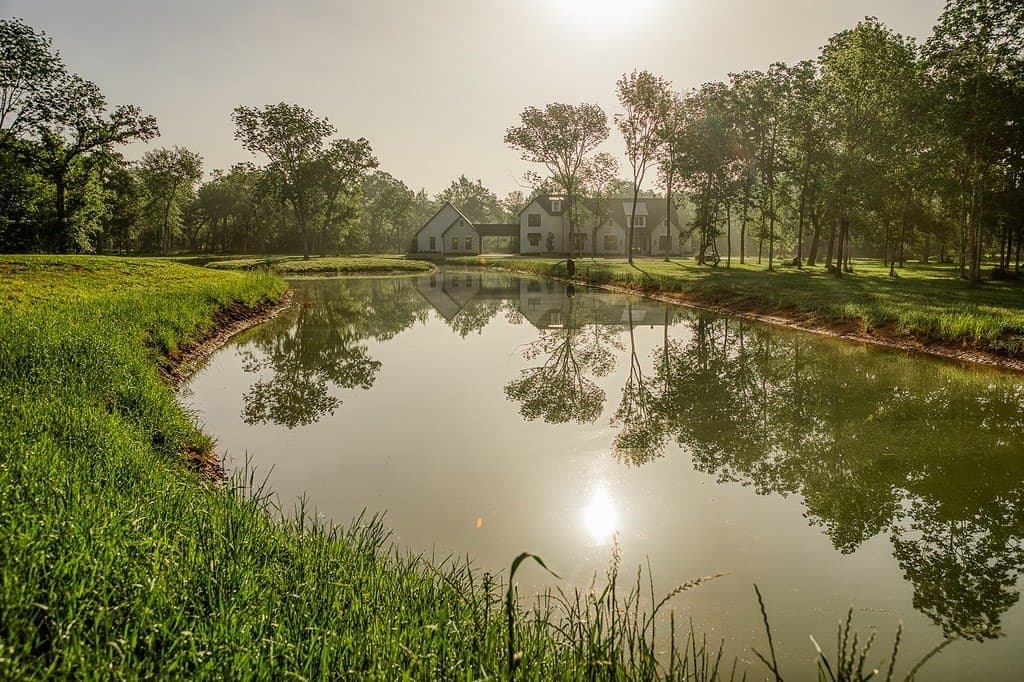 40051 Mesquite