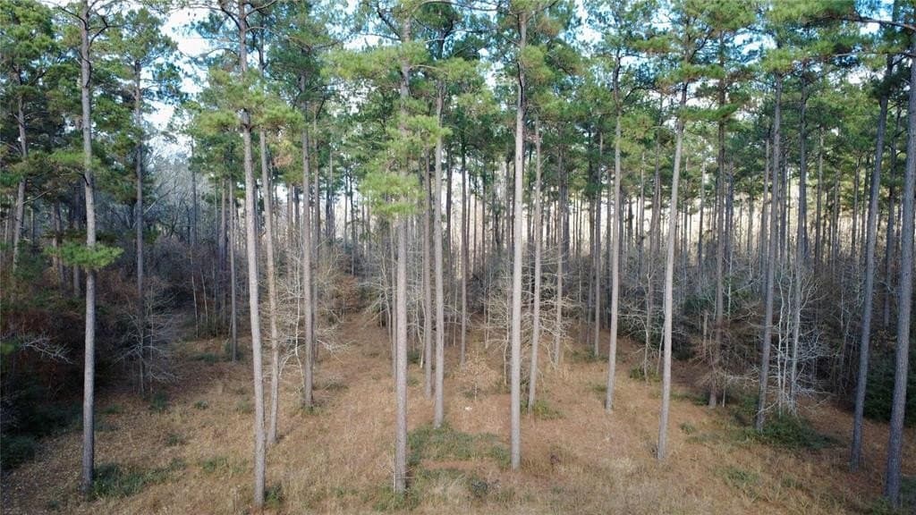 1497 County Road 1170