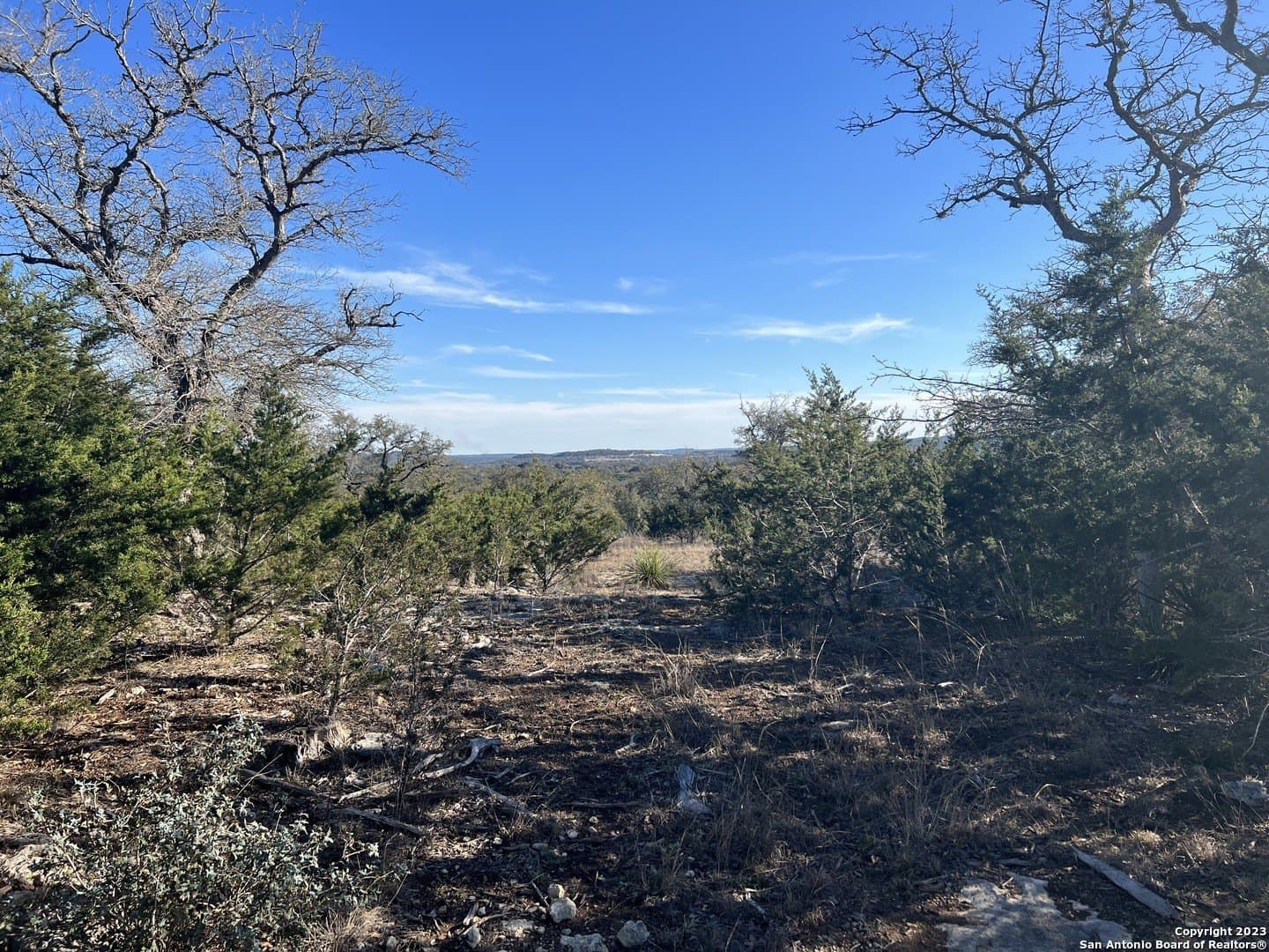 215 Palomino Springs