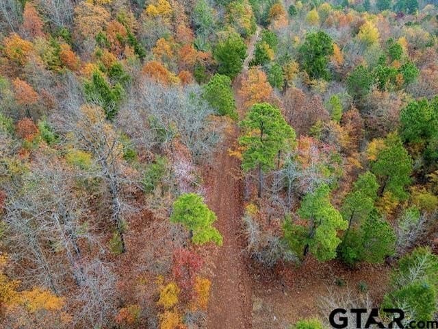 TBD N HWY 259