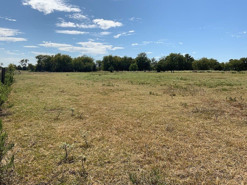 8989 Farm To Market Road 141