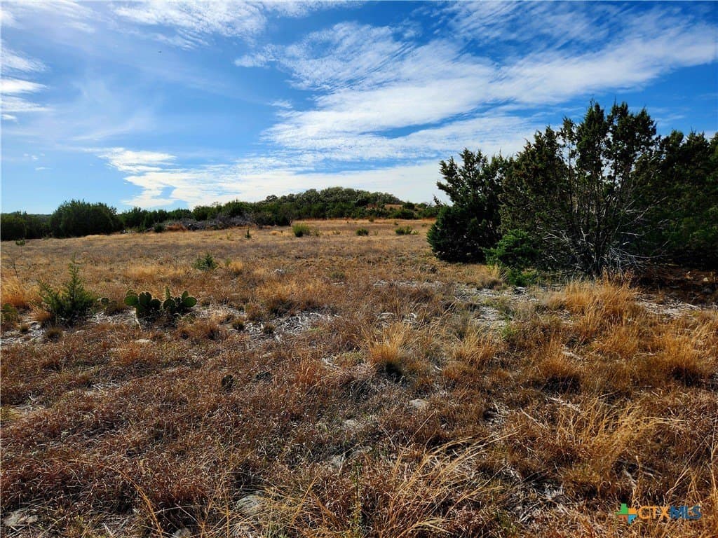 Shin Oak Drive lot: 61