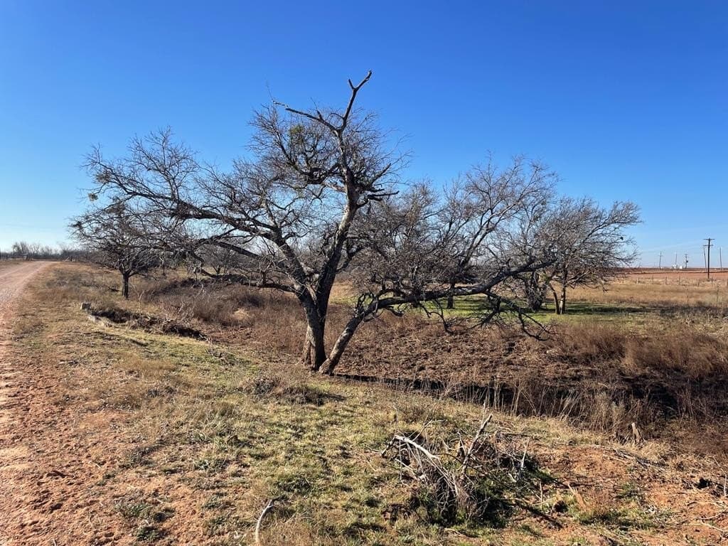 FM 1611