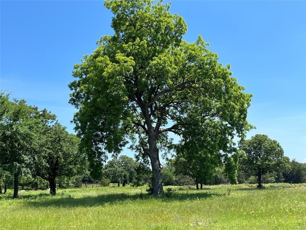 Lot 9 Kiowa Oaks Court