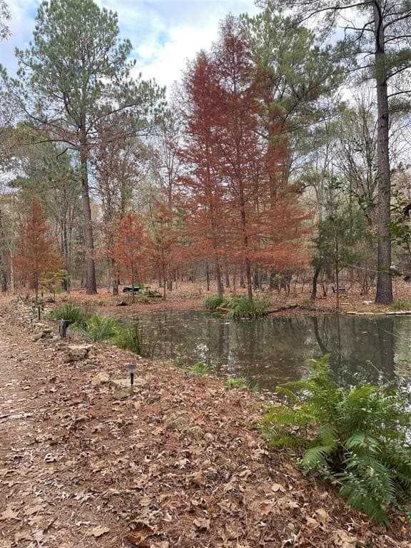 0000 County Road 3450