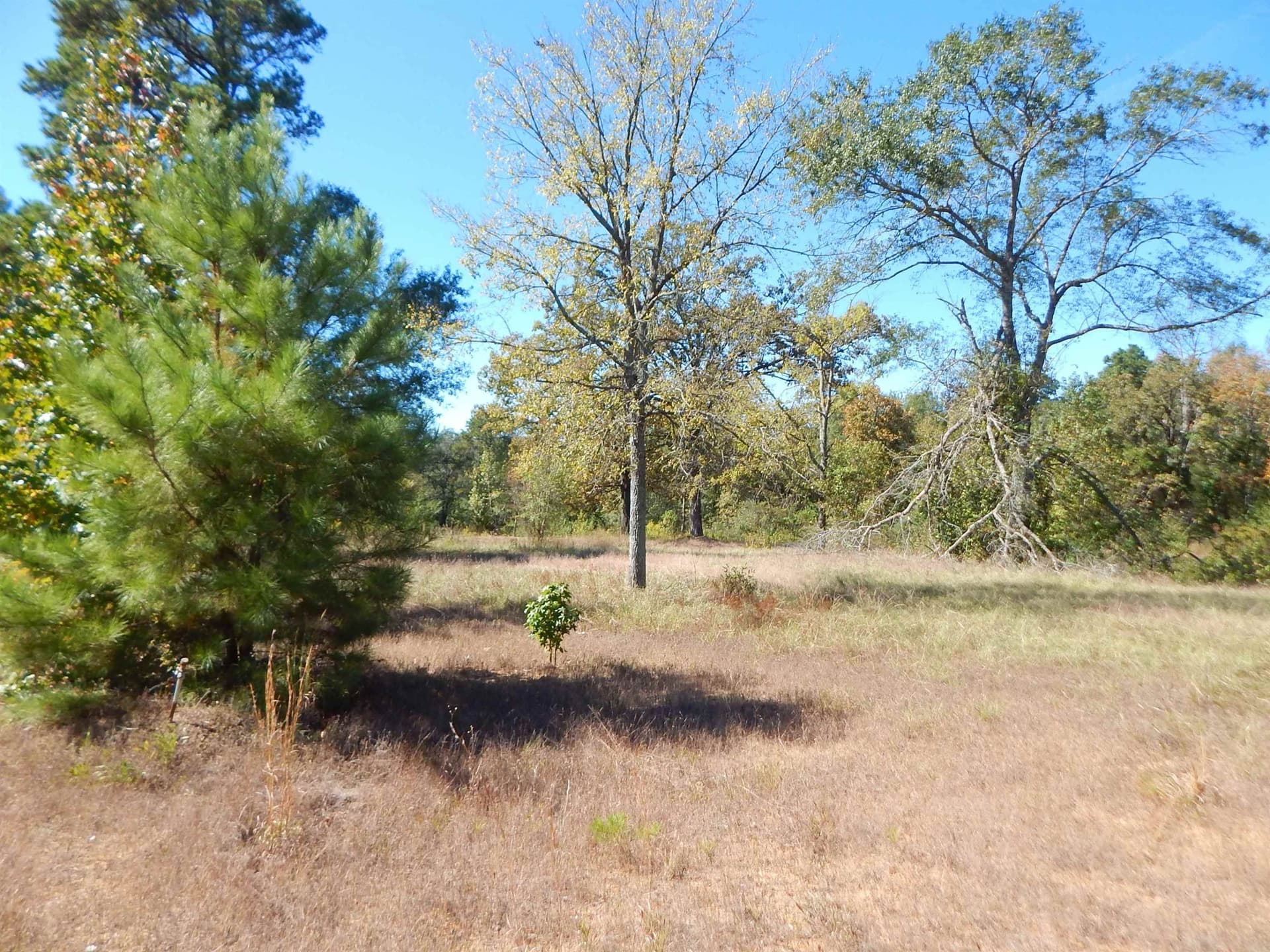 Tbd .6 Acre HWY 155