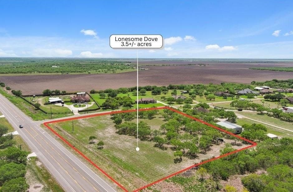Lonesome Dove lot: 32,33