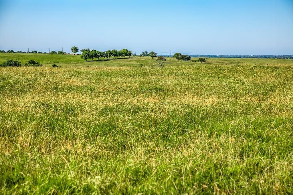 5005 Fuchs Road - Lot 7