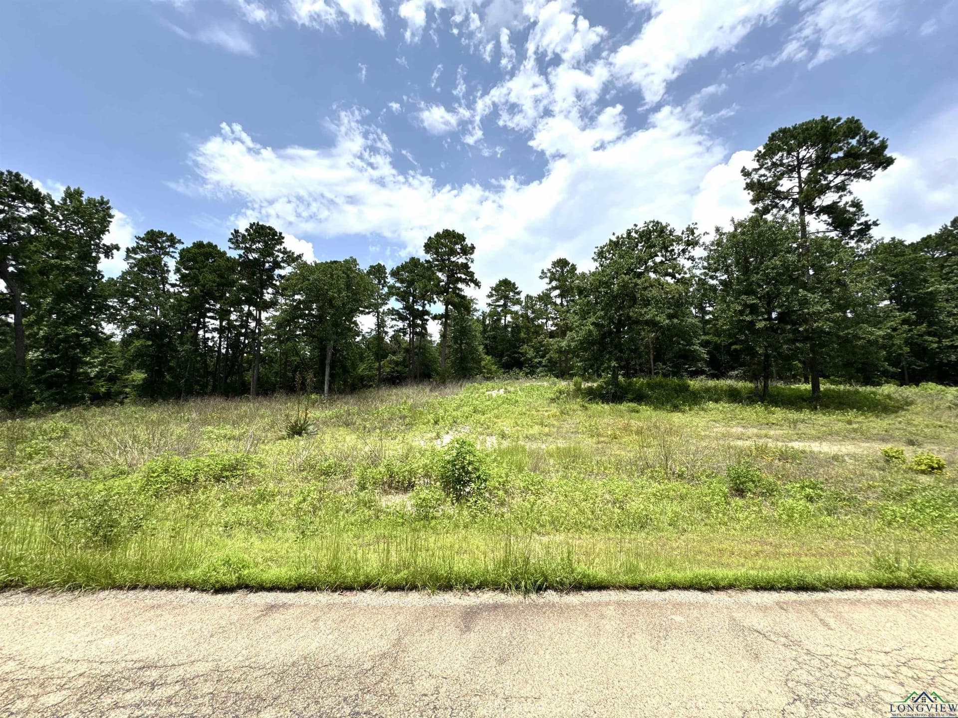 Lot 9 CR 3545