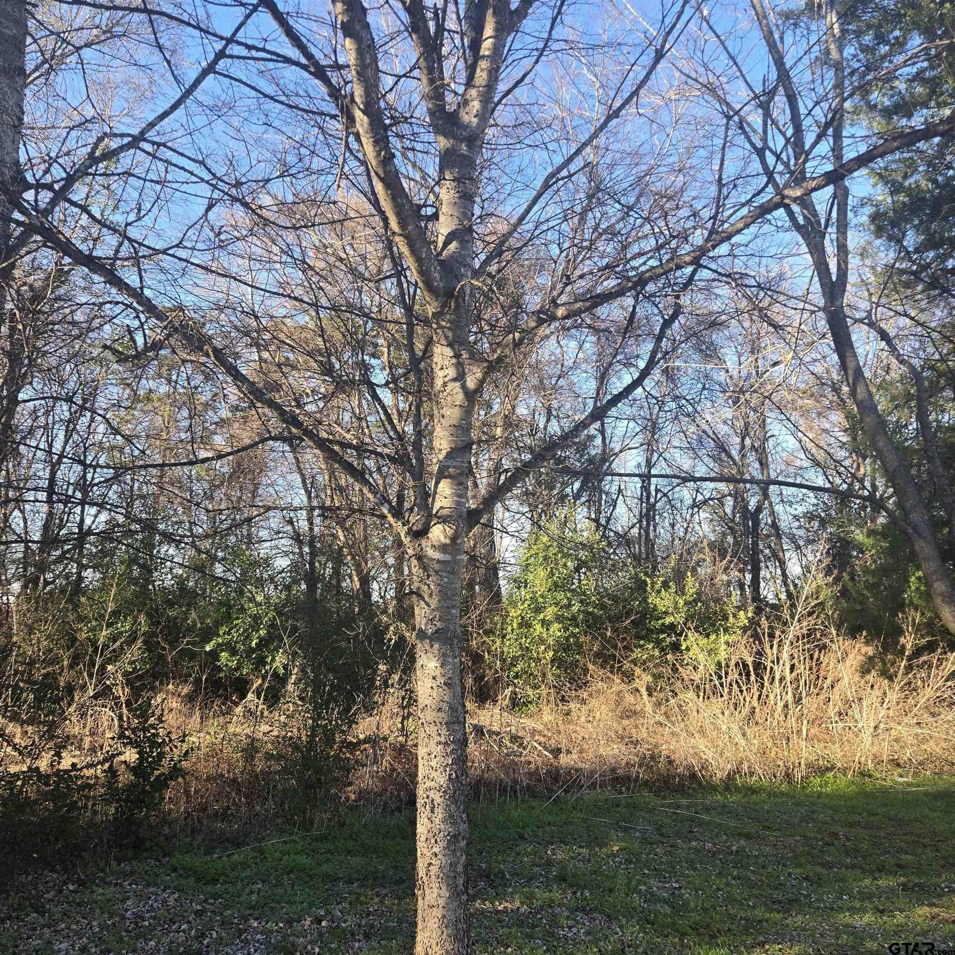 TBD ROLLING WOOD HILLS SUBDIVISION