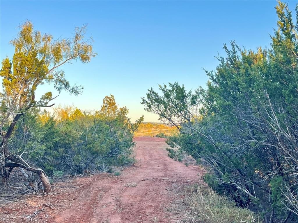 482 County Road 151