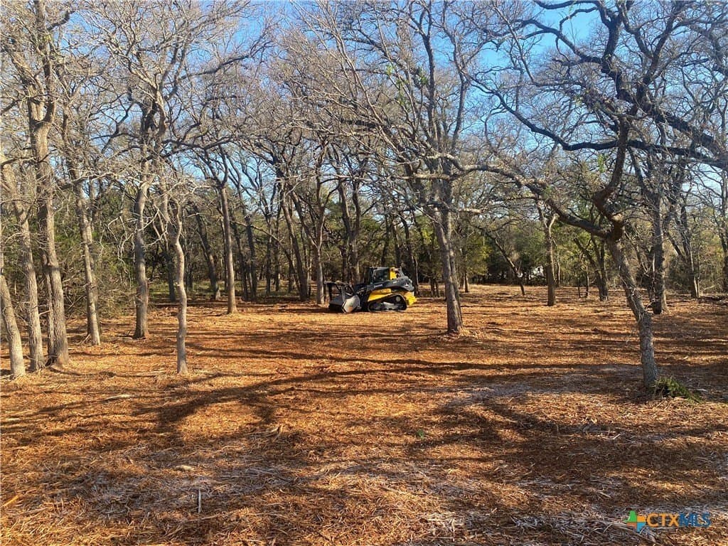 157 Cedar Mountain Road lot: 4