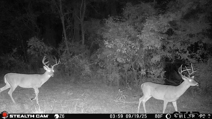 TBD W HWY 80