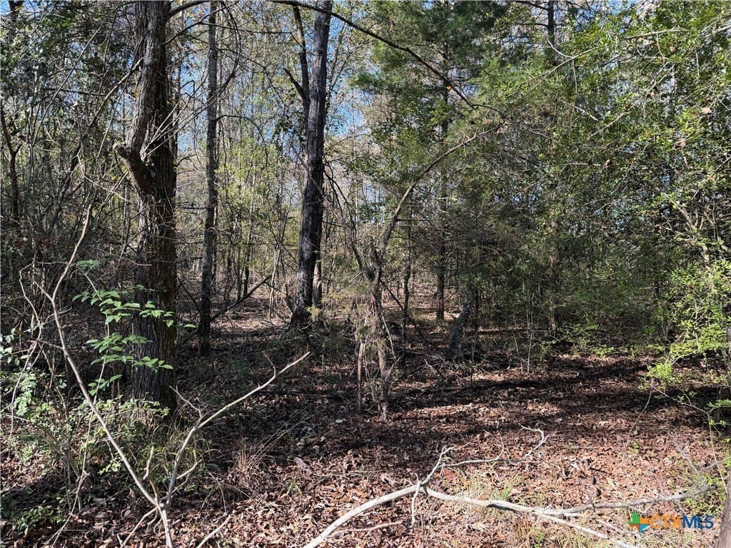County Road 301 Tract 7