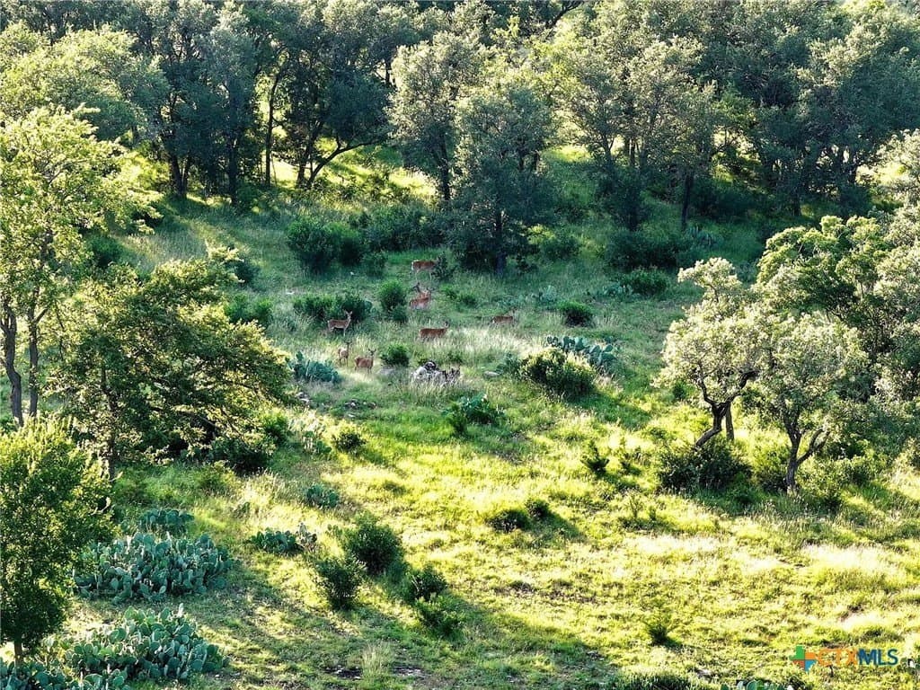 County Road 220 lot: 4