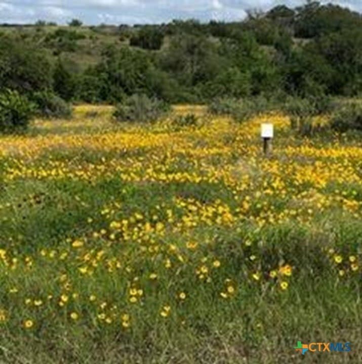 207 Verbena Court lot: 72